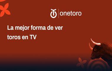 OnetoroTV